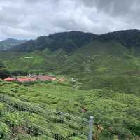 The incredible Cameron highlands in Malaysia