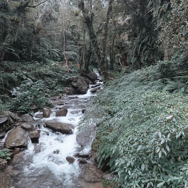 Wulai Waterfall 💦