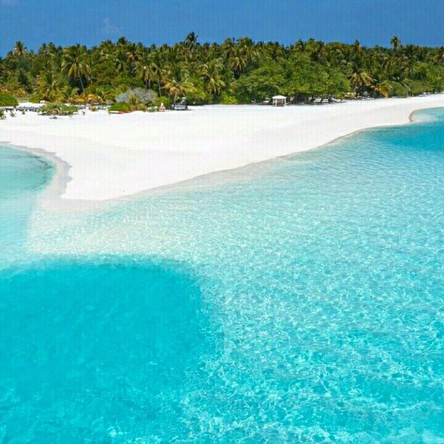 Maldives is worth the hype.