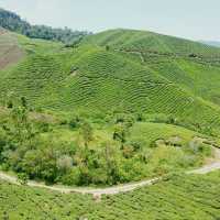 Cameron Highlands best cold place 🏞️