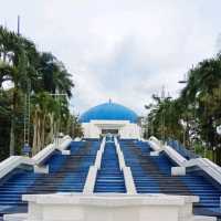  Tropical Rainforest Lake Park