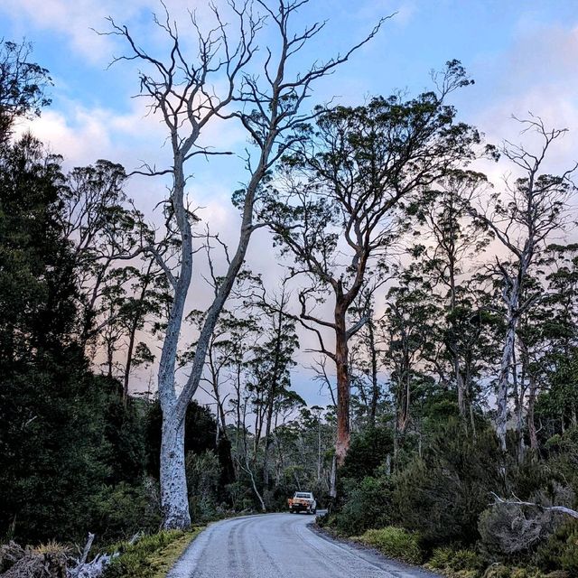 Hitchhiking in Tasmania