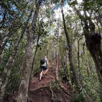 Hiking The Highest Peak | Mauritius 