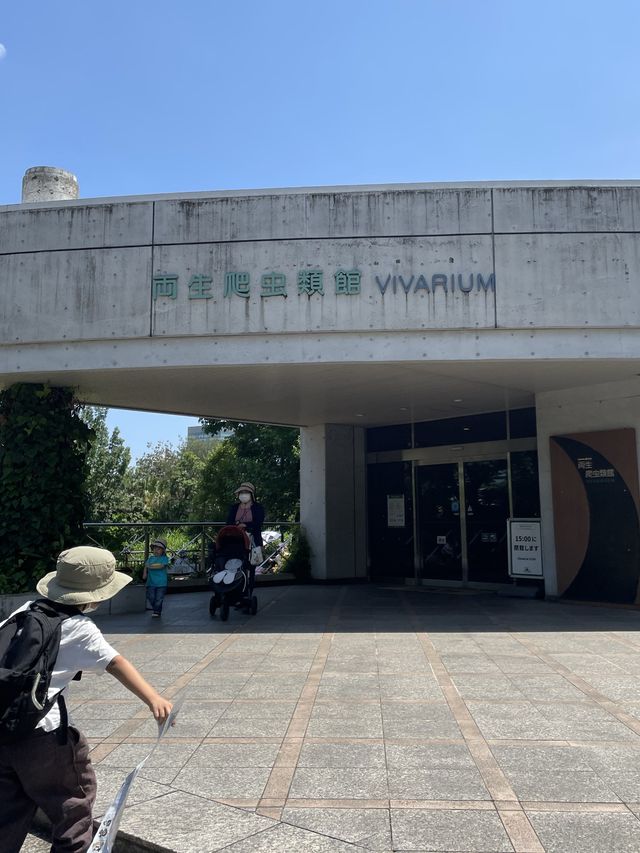  両生爬虫類館 といったらここ上野動物園！