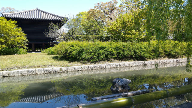 京都東寺