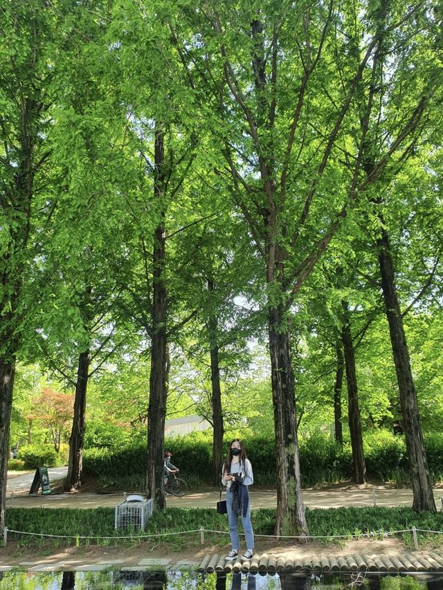 도시속의 힐링, 서울숲🌿