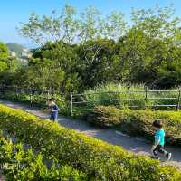 《歐洲宮廷花園秘景》