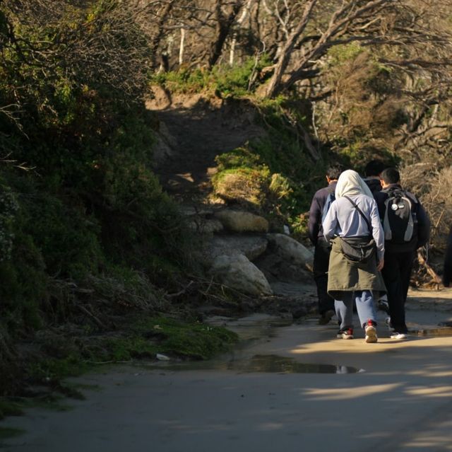 Hiking like the hobbits in Mt Oberon