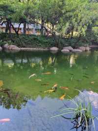 Nature in the middle of Hong Kong