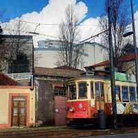 daTerra 🌱 Vegan Restaurant - Foz 🇵🇹