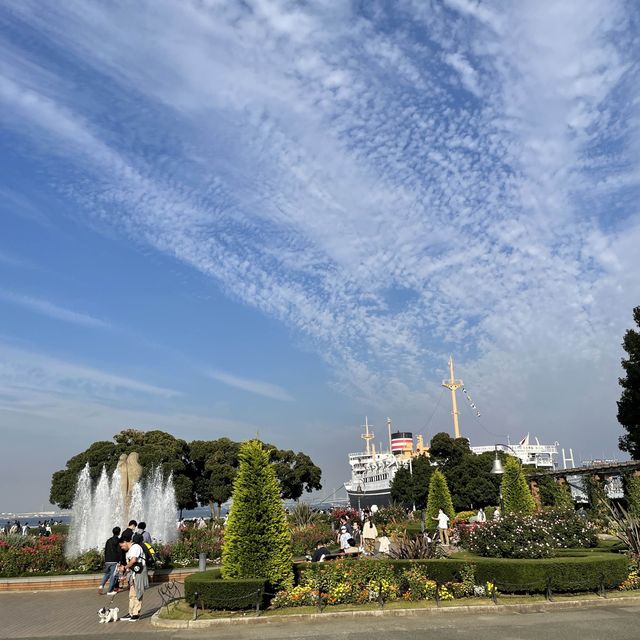 山下公園は秋バラの季節です！