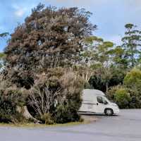 Hitchhiking in Tasmania