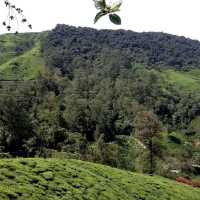 The Views Of Cameron Highland Malaysia