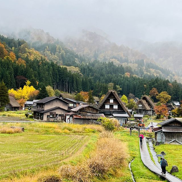 世界文化遺產 白川鄉🍁🍁