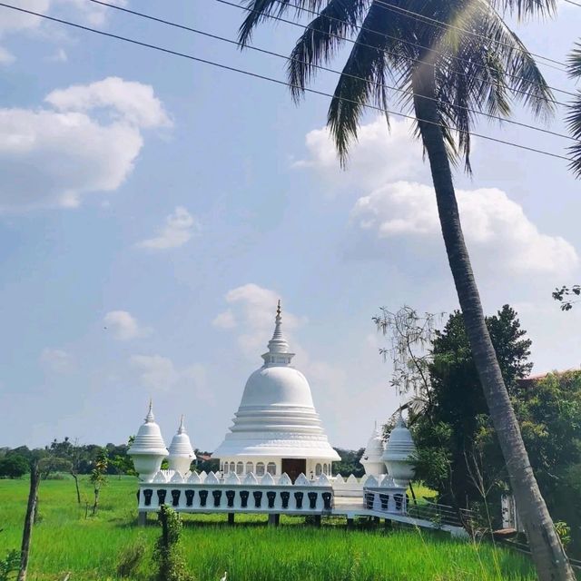 🚲 Cycling around Anuradhapura