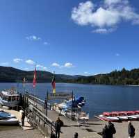 Titisee - ❤️lake and pine trees 🌲 🇩🇪