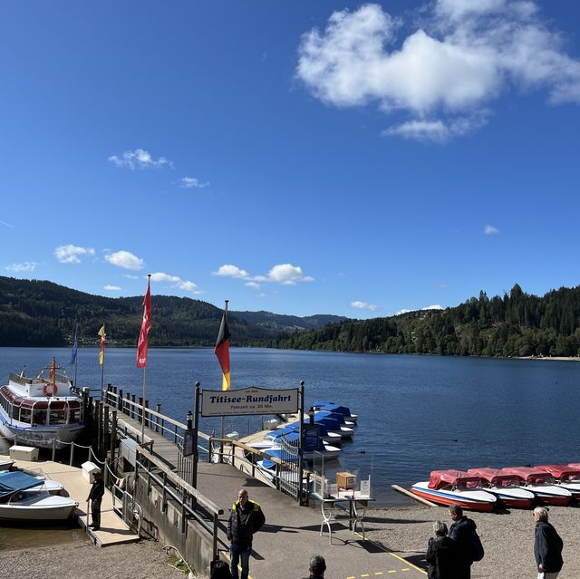 Titisee - ❤️lake and pine trees 🌲 🇩🇪