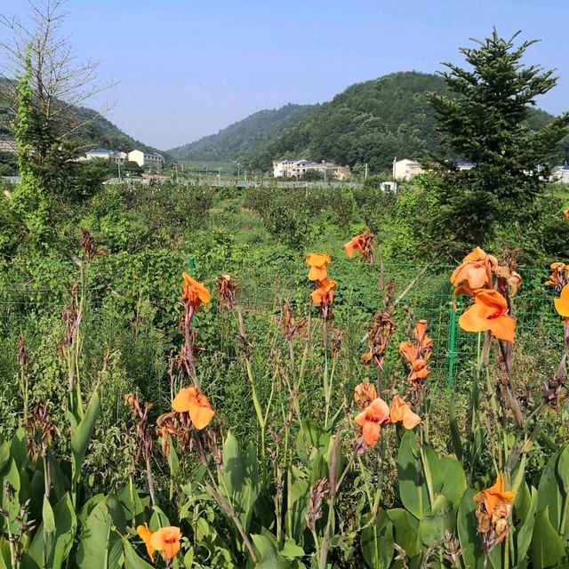 Shaoshan village - famous red tourism spot 