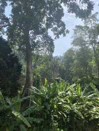 Penang Botanical Garden - Malaysia  