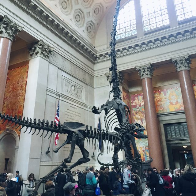 🦖Day at the Museum,NYC🦕