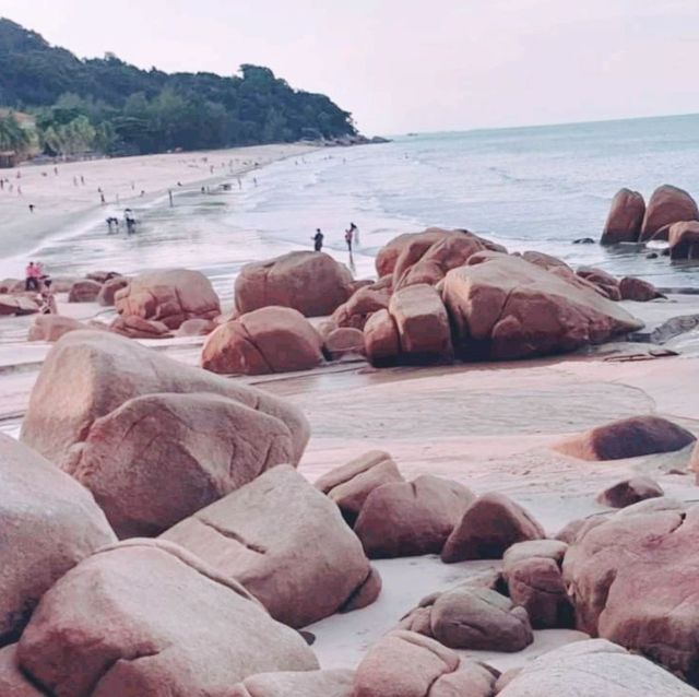 The Beautiful Of Teluk Cempedak,Pahang ❤️🏖