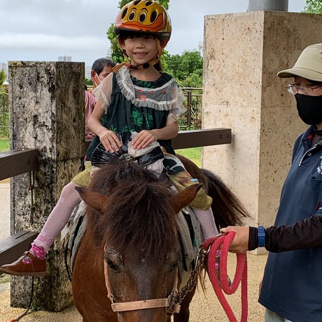 #全新園區 #騎馬體驗🐎 #沖繩兒童王國