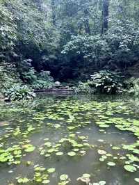 Penang Botanical Garden - Malaysia  