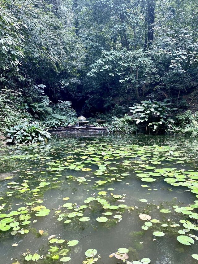 Penang Botanical Garden - Malaysia  