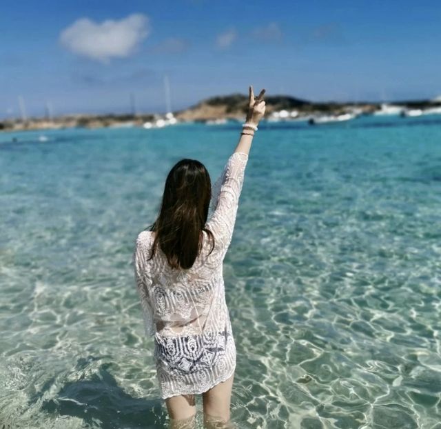 Sardinia, Italy, the must-visit transparent jellyfish sea in life.