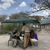 Safari Day at Serengeti