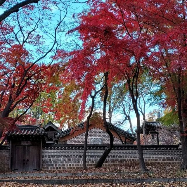 Secret Garden autumn foliage