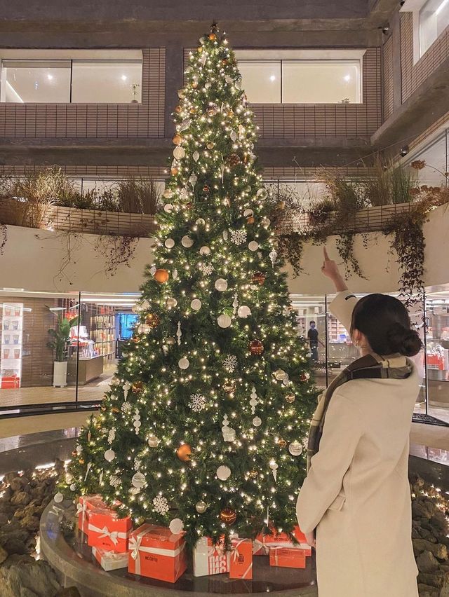 이보다 더 클 순 없는 대형 트리 카페 '인크커피'🎄