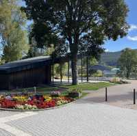 Titisee - ❤️lake and pine trees 🌲 🇩🇪