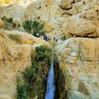 Ein gedi reserve