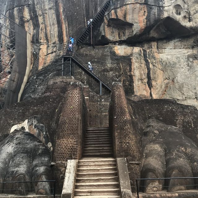 sigiriya Rock Lion roxxx me