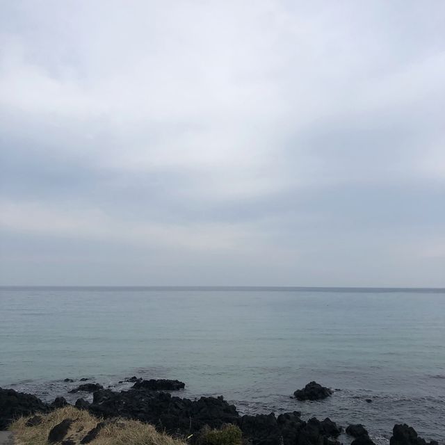 [제주도 여행] 함덕해수욕장에서 겨울바다 보기🌊