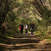 Hiking like the hobbits in Mt Oberon