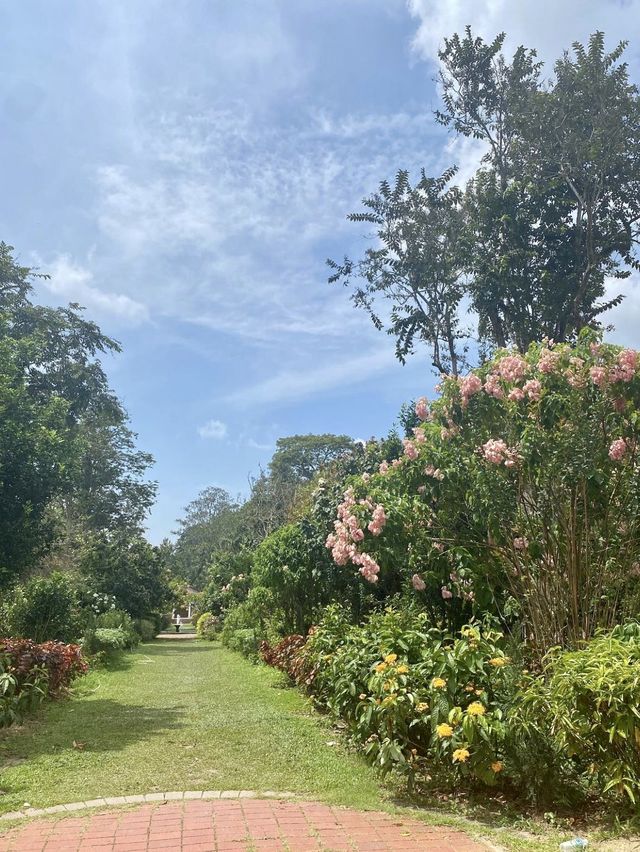 Penang Botanical Garden - Malaysia  