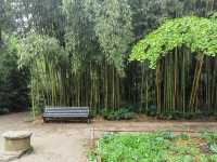 Visit Montpellier Botanical Garden.