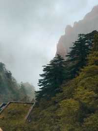 A Thanksgiving Hike To Mt. Huangshan ⛰