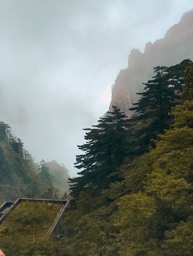 A Thanksgiving Hike To Mt. Huangshan ⛰