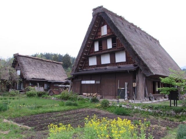 遊日本· 岐阜縣白川鄉