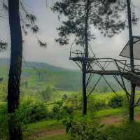 Toba Lake