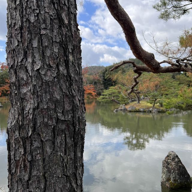 日本京都必去景點｜壯觀的金閣寺，世界遺產之一