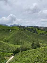 Tea time in the windy and cool breeze 