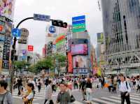 Shibuya Crossing @Tokyo