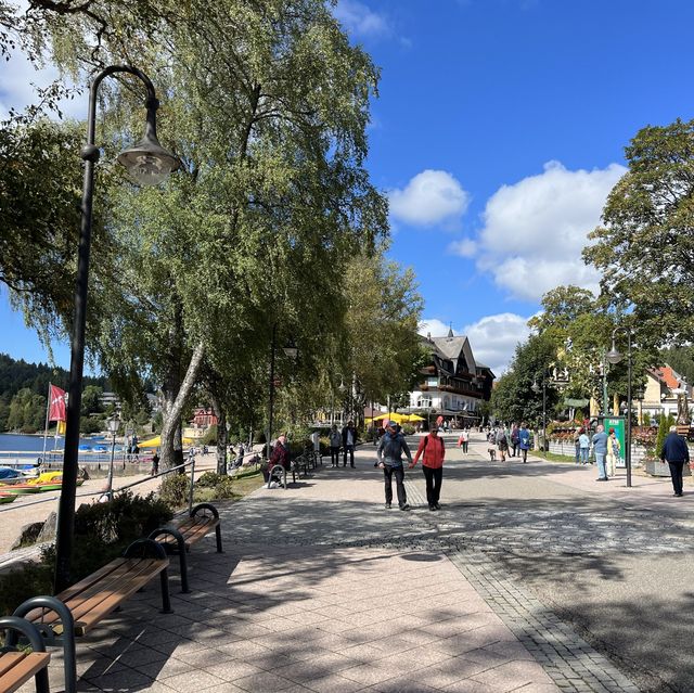 Titisee - ❤️lake and pine trees 🌲 🇩🇪