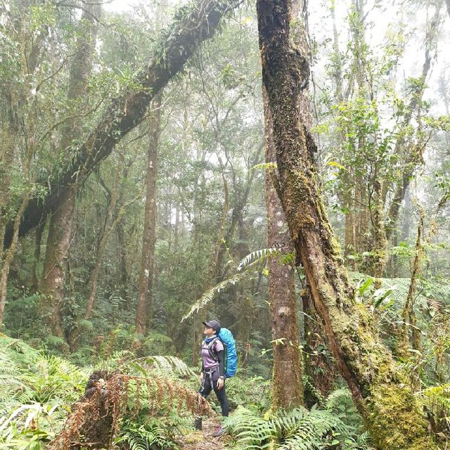 The Grandfather of All Philippine Mountains