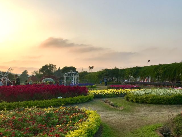 ChungShe Flower Garden TaiChung