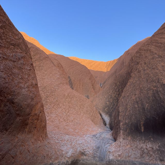 Uluru Sunrise Segway tour 